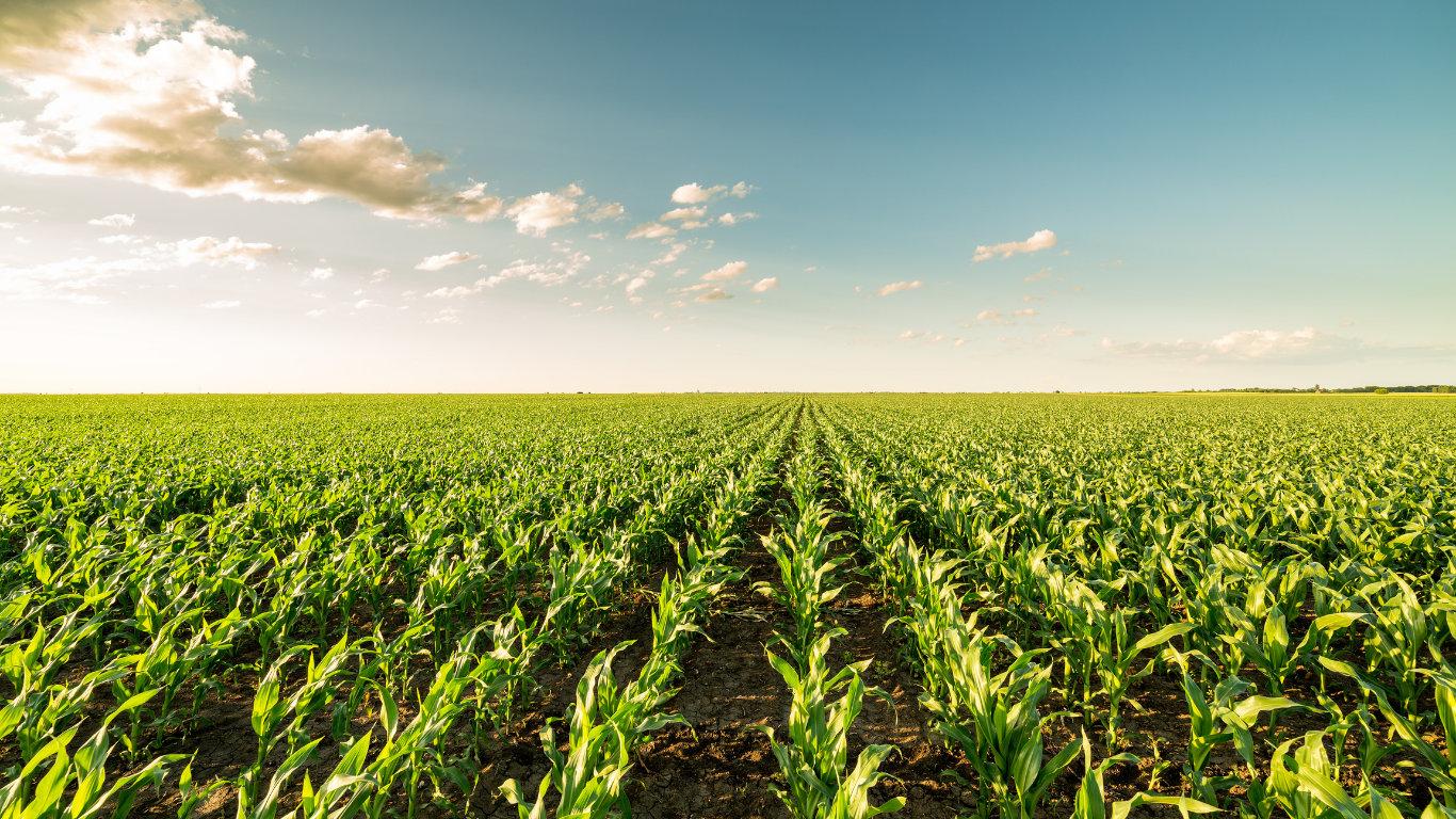 Farming Insurance